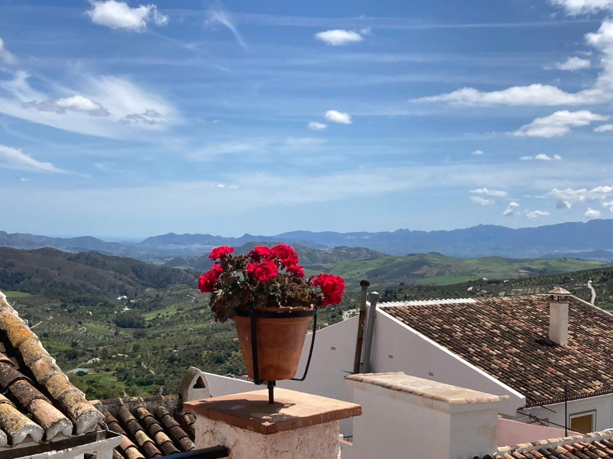 Casa Limonero Сasa de vacaciones *